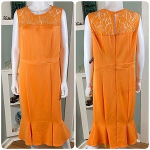 New NWT NY&C Orange Lace Dress Stretch Sheath Mermaid Midi XLarge New York & Co